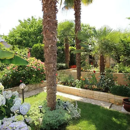 Ornela With Garden *